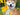 Dog grooming for Shiba Inus