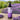 2 in 1 shampoo and conditioner for dogs & cats (500ml)