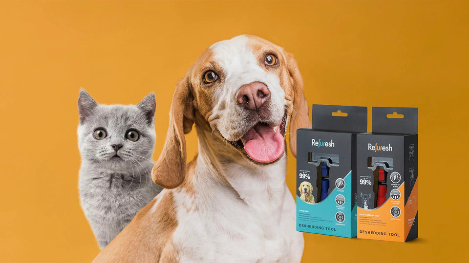 4 Pawsome Reasons to Deshed Your Dog with a deshedding brush! Refuresh