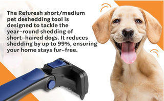 Gentle Deshedding Brush for Pets with Short/Medium Hair – Refuresh