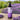 Lavender pet shampoo and conditioner (500ml)