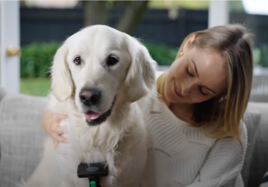 About Refuresh | Deshedding brushes & dog deshedding tools and experts