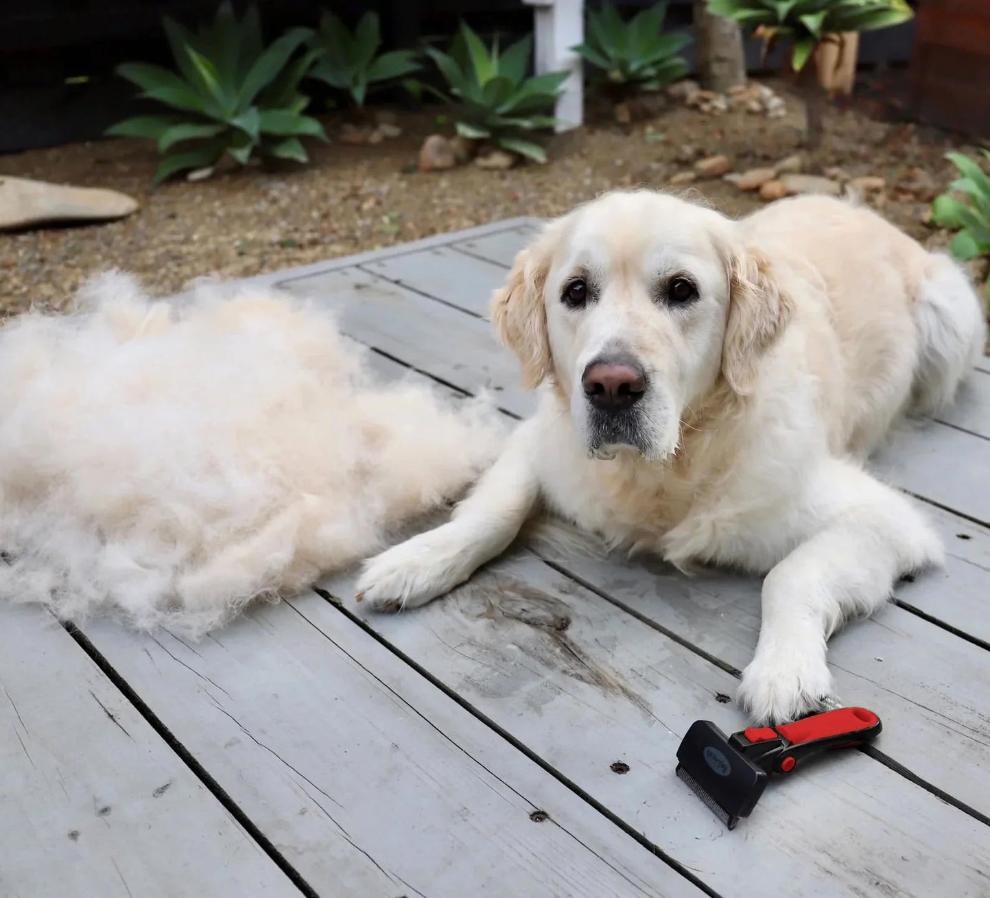 Dog Deshedding Brush for Pets with Long Hair – Refuresh