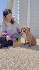 Gentle Deshedding Brush for Pets with Short/Medium Hair – Refuresh