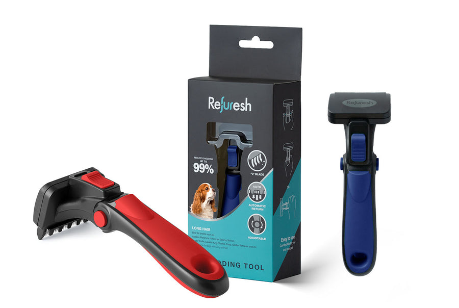 Shih Tzu – Refuresh